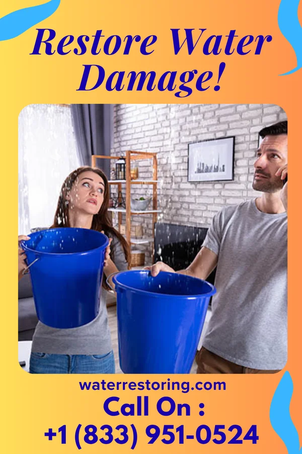 water restoration Priority Damage Restoration Network Eagle Rock